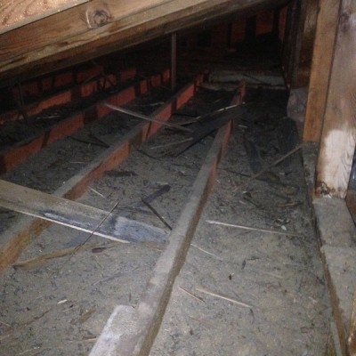 attic decontamination 