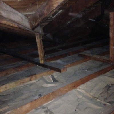 attic decontamination 